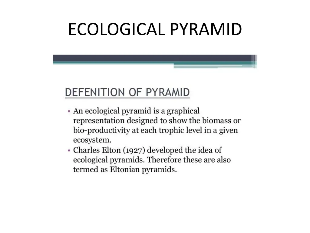 ecological pyramid