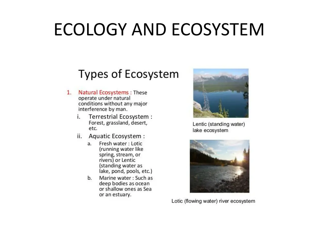 ecology and ecosystem 6