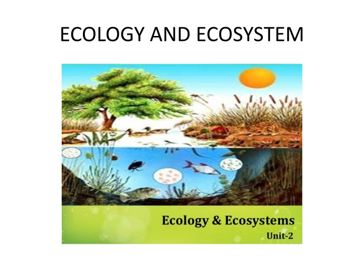 ecology and ecosystem