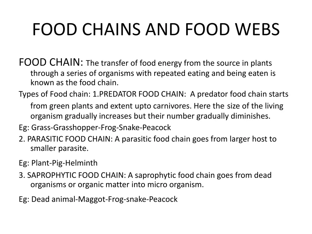 food chains and food webs