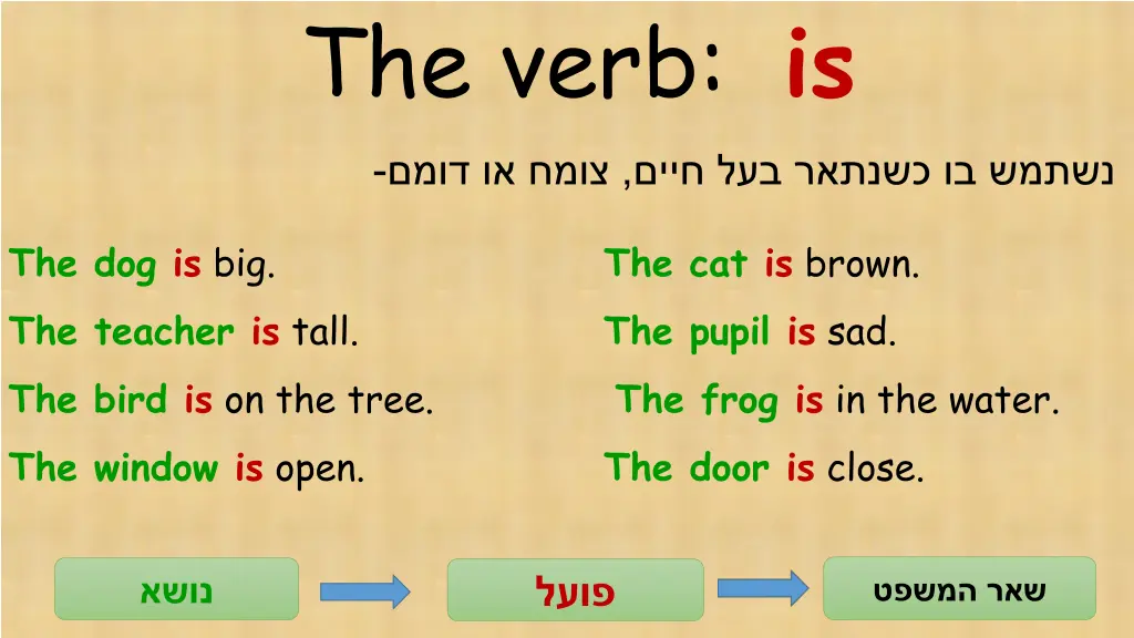 the verb is