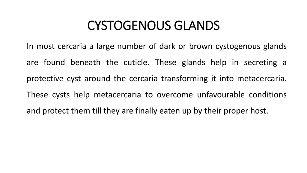 cystogenous glands cystogenous glands