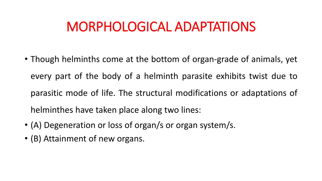 morphological adaptations morphological