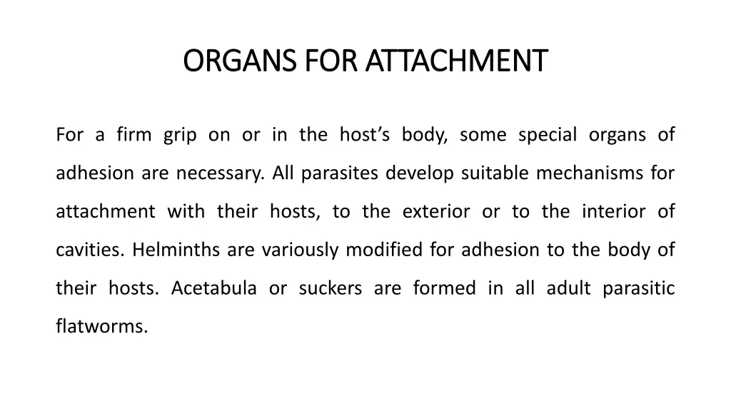 organs for attachment organs for attachment