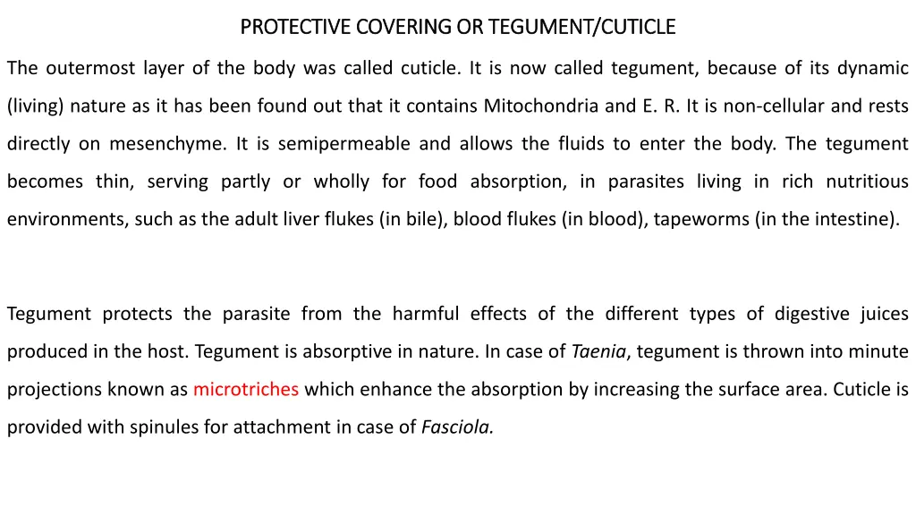 protective covering or tegument cuticle