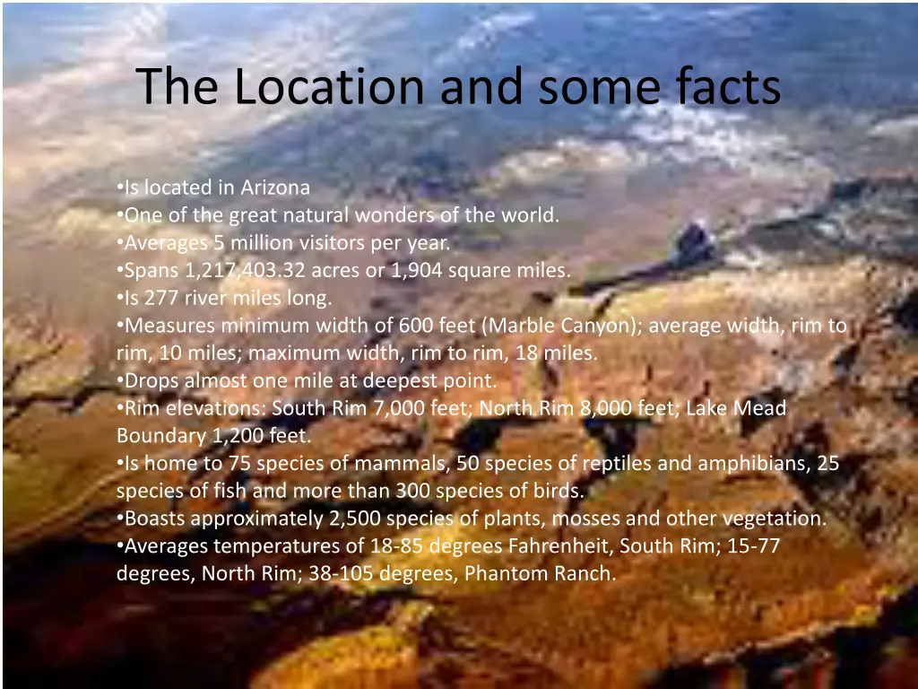 the location and some facts