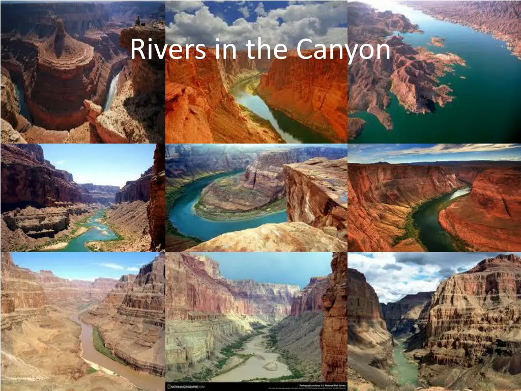 rivers in the canyon