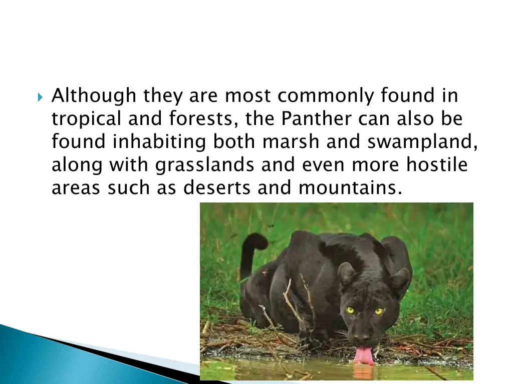 although they are most commonly found in tropical