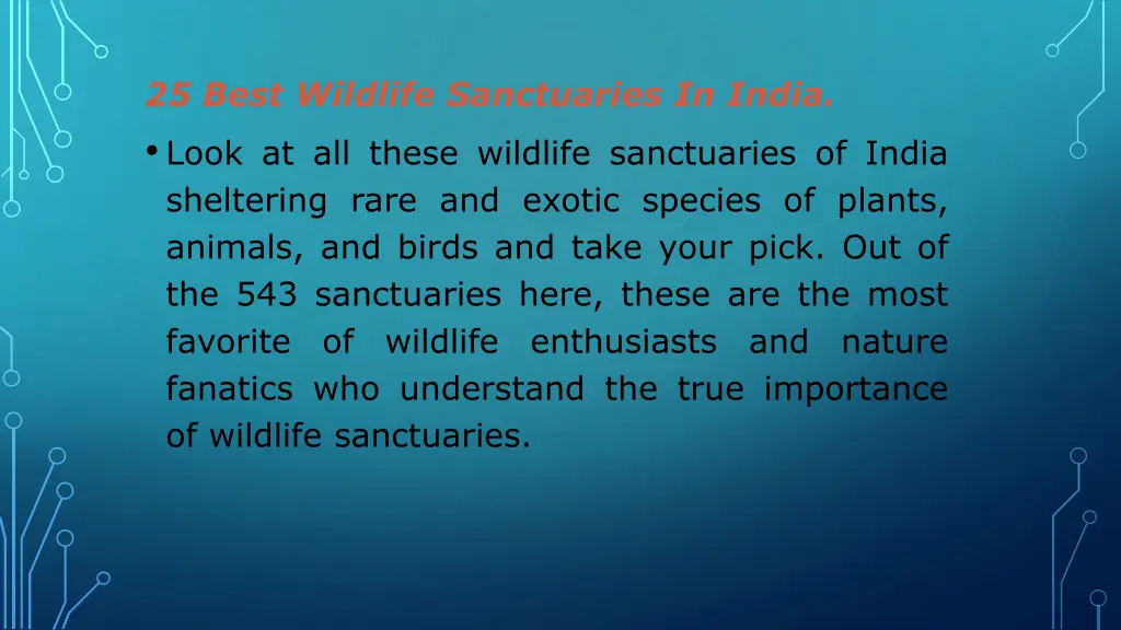 25 best wildlife sanctuaries in india look