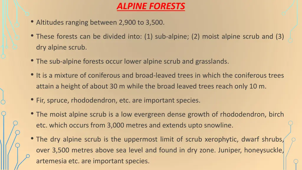 alpine forests