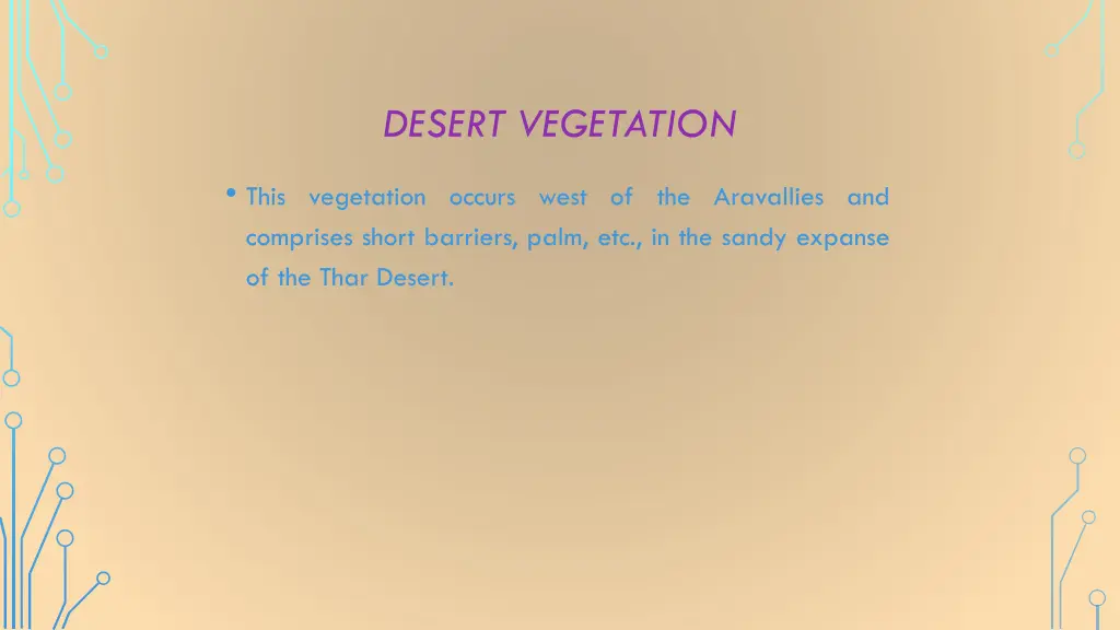 desert vegetation