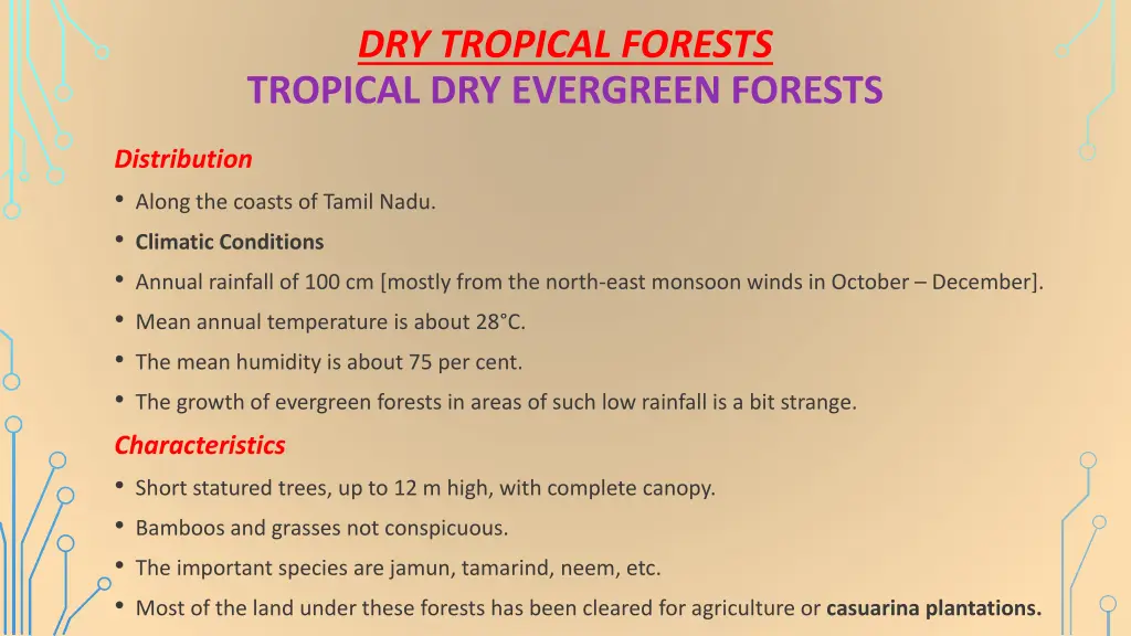 dry tropical forests tropical dry evergreen