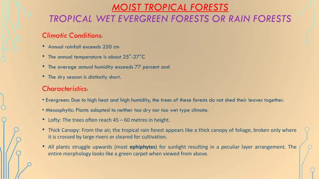 moist tropical forests