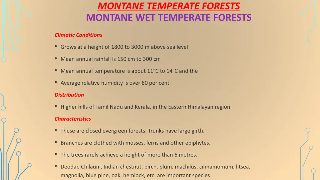 montane temperate forests montane wet temperate