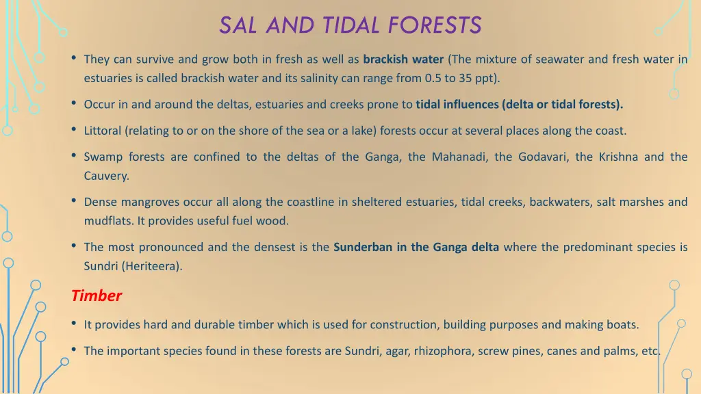 sal and tidal forests