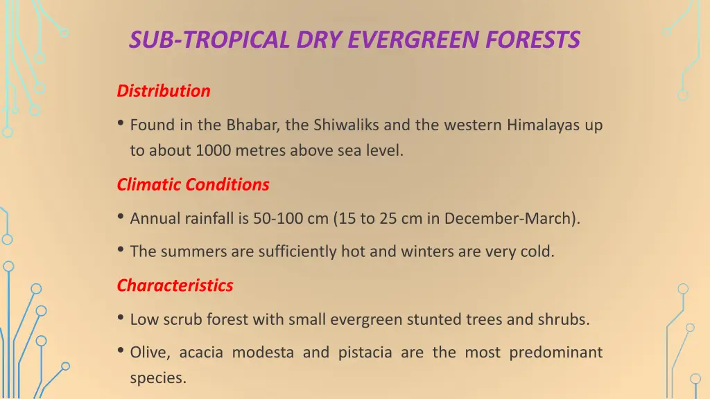 sub tropical dry evergreen forests