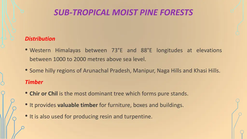 sub tropical moist pine forests