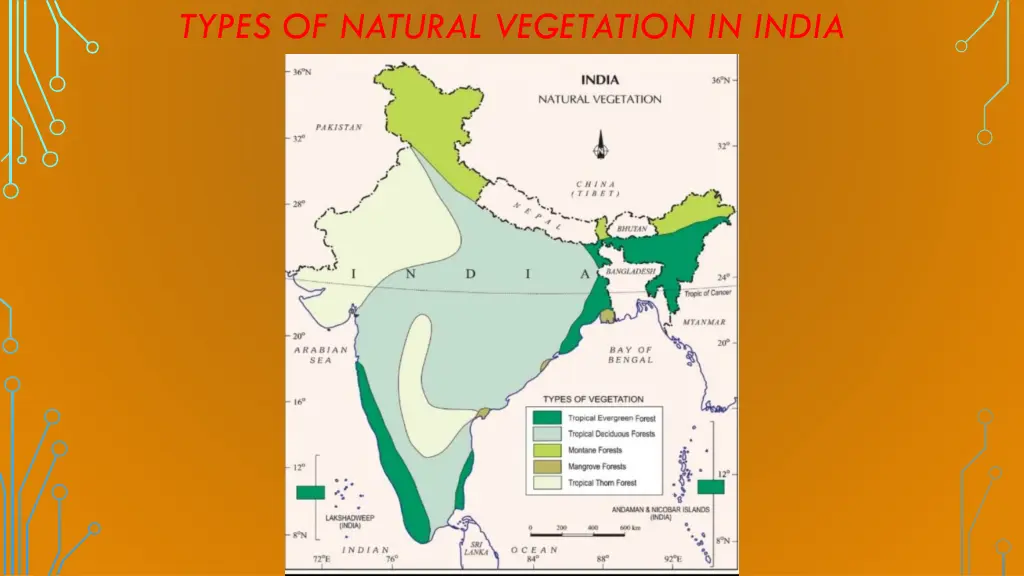 types of natural vegetation in india