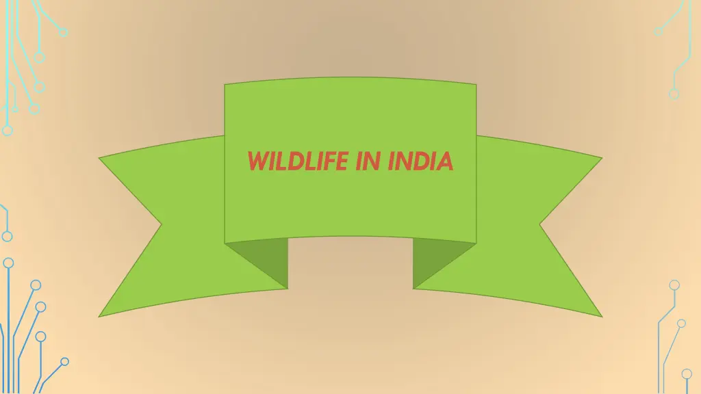 wildlife in india