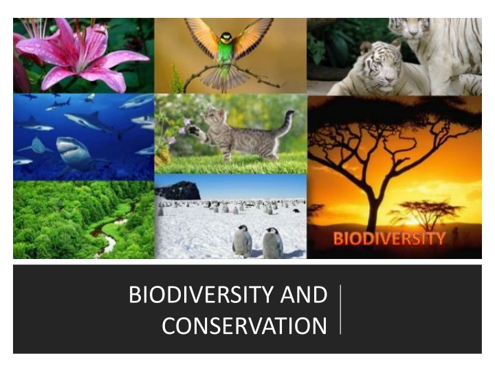 biodiversity and conservation