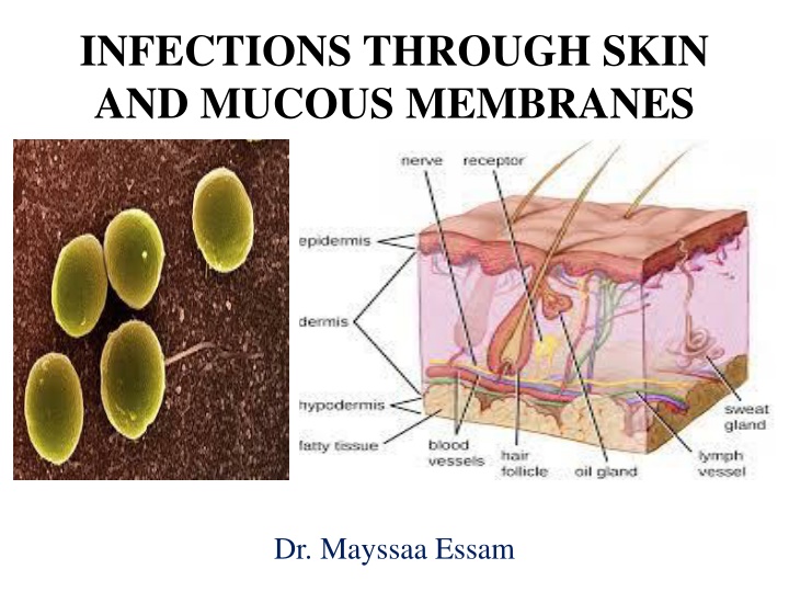 infections through skin and mucous membranes