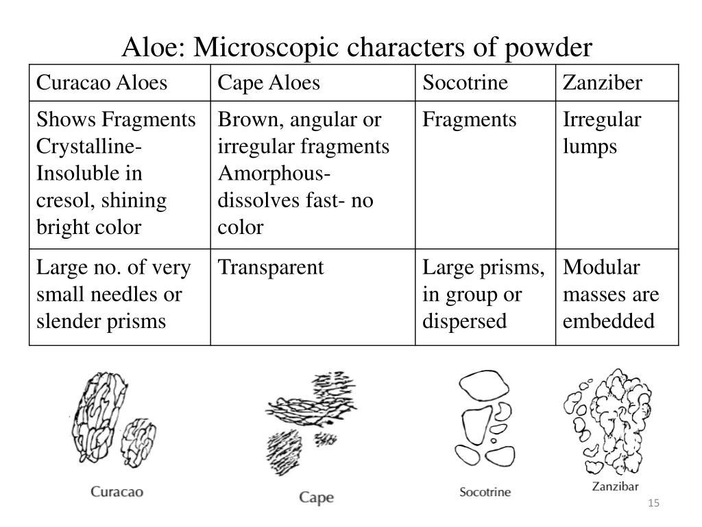 aloe microscopic characters of powder curacao