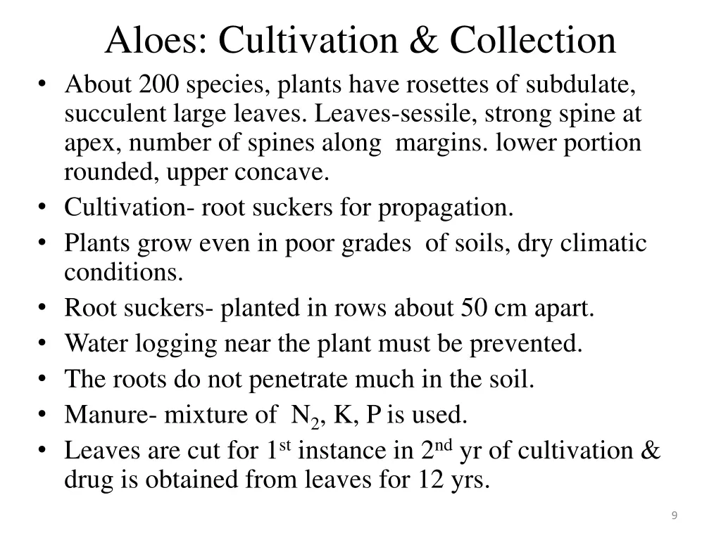 aloes cultivation collection about 200 species