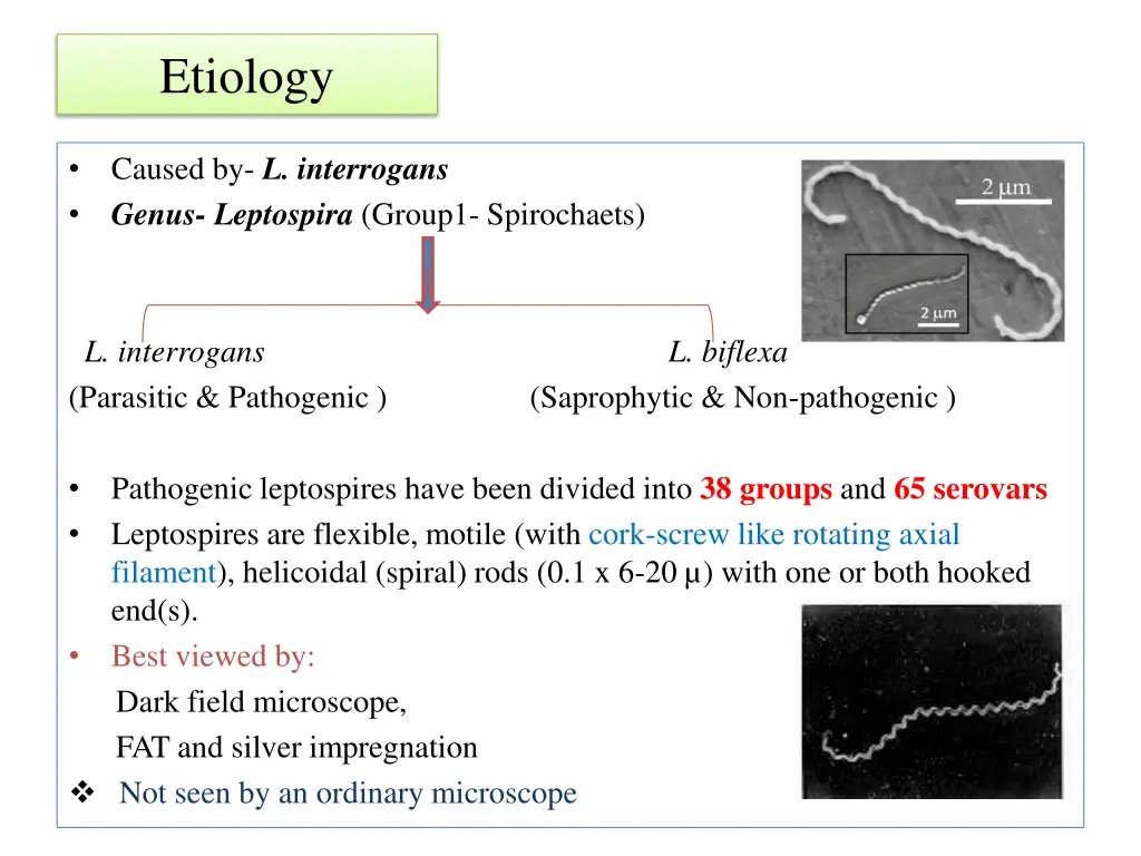 etiology