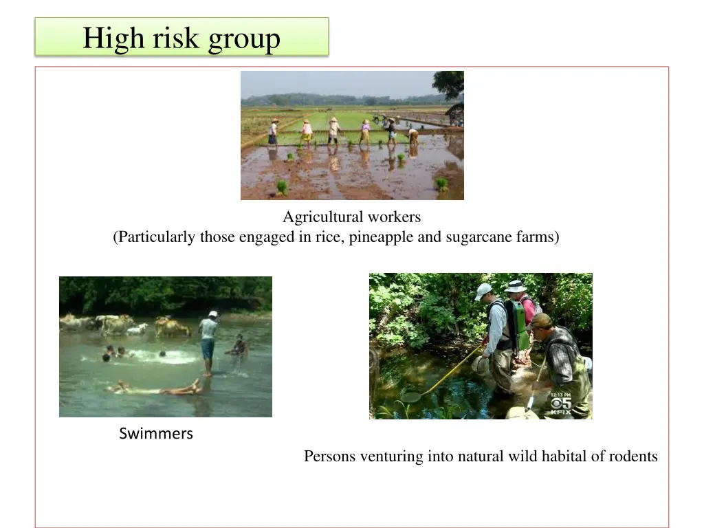 high risk group