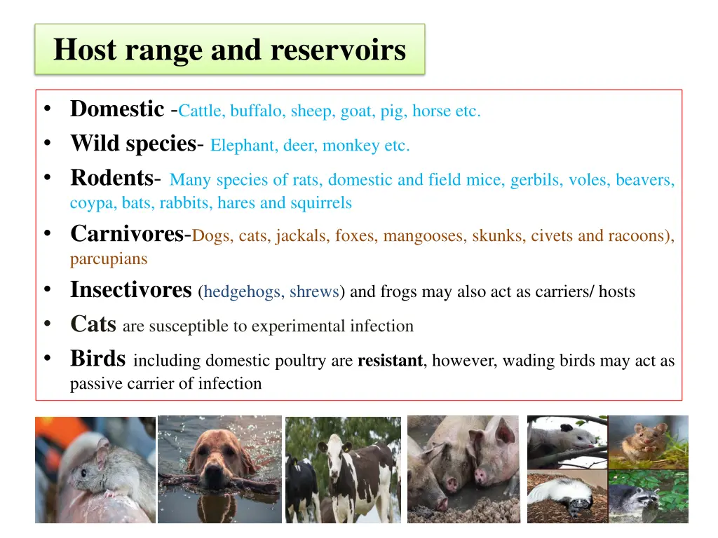 host range and reservoirs