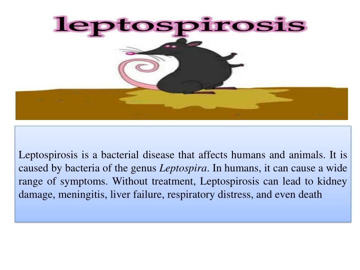 leptospirosis is a bacterial disease that affects