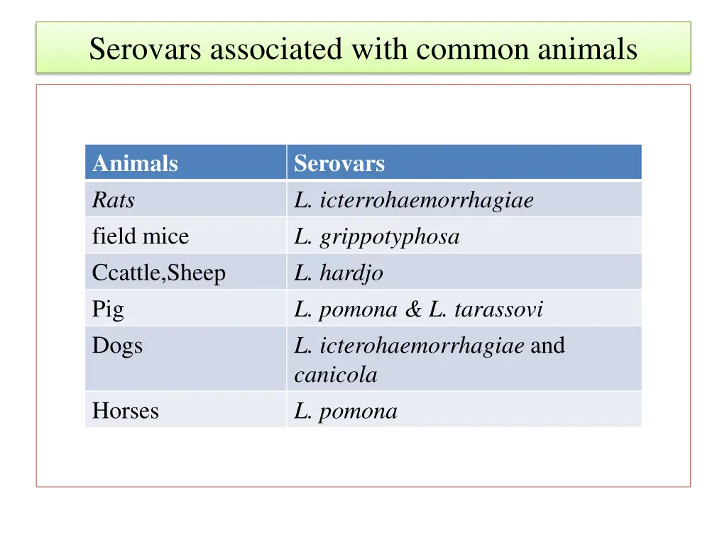 serovars associated with common animals