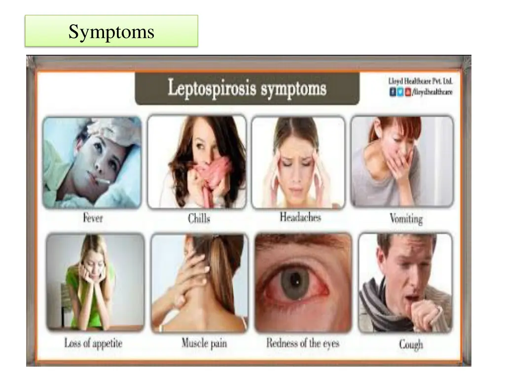 symptoms 4