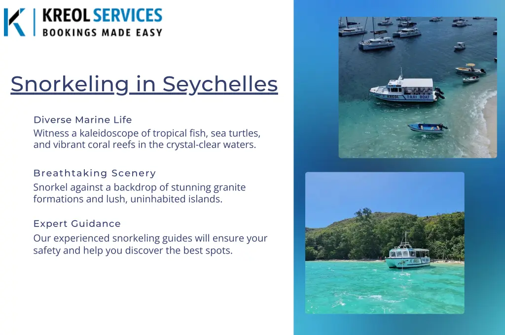 snorkeling in seychelles