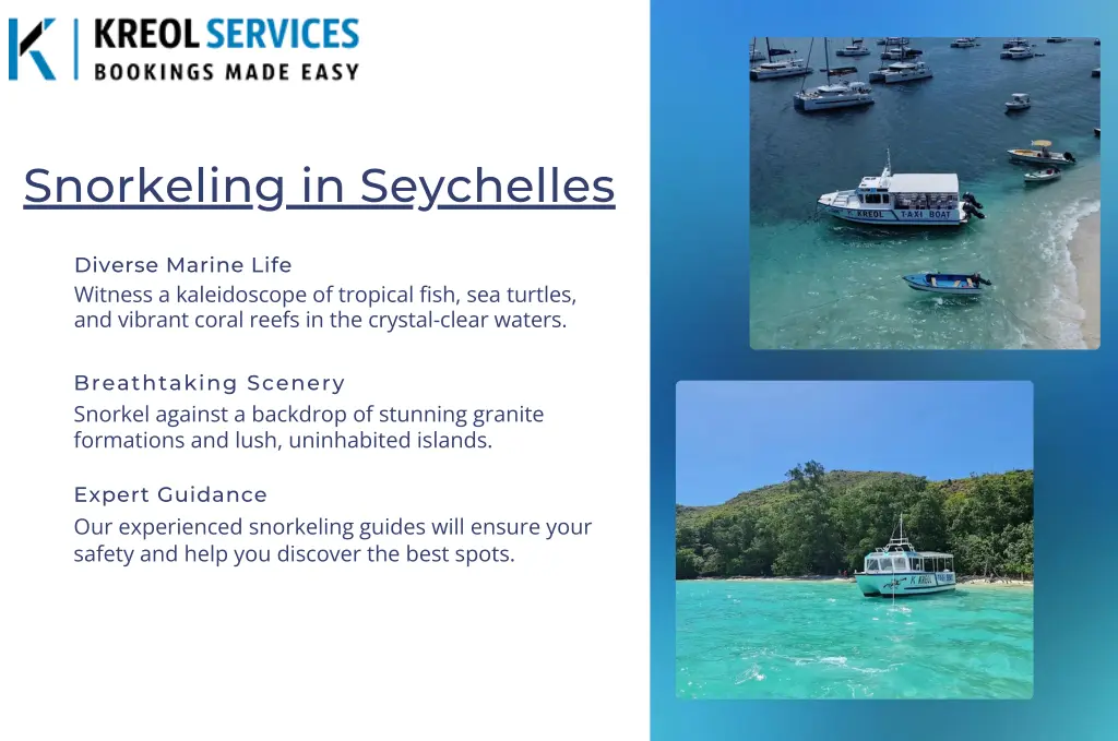 snorkeling in seychelles