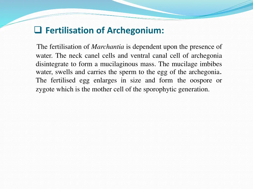 fertilisation of archegonium