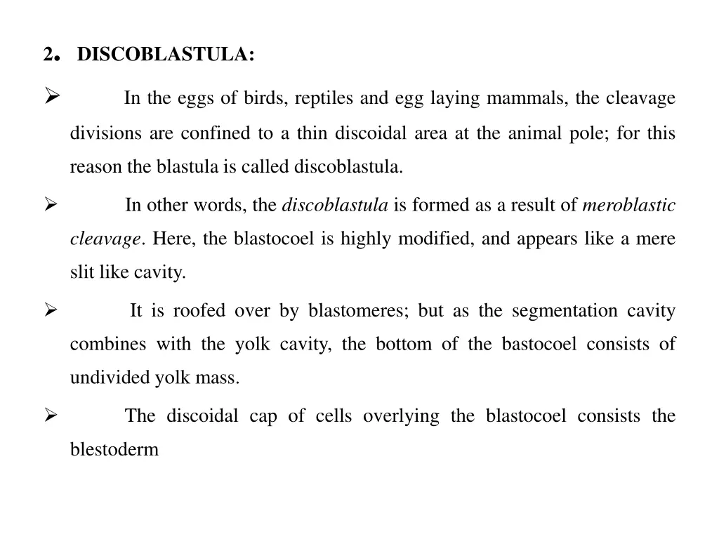 2 discoblastula