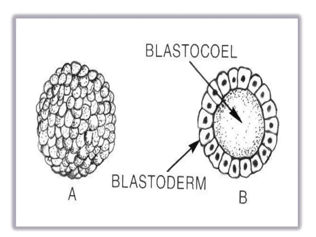 slide3