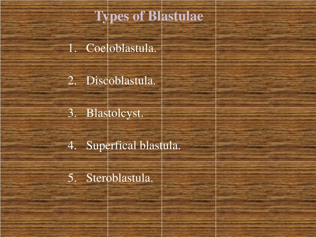 types of blastulae