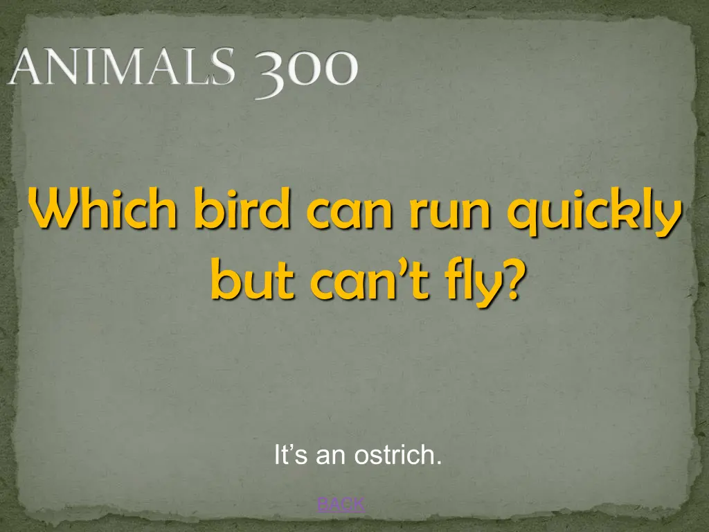 animals 300