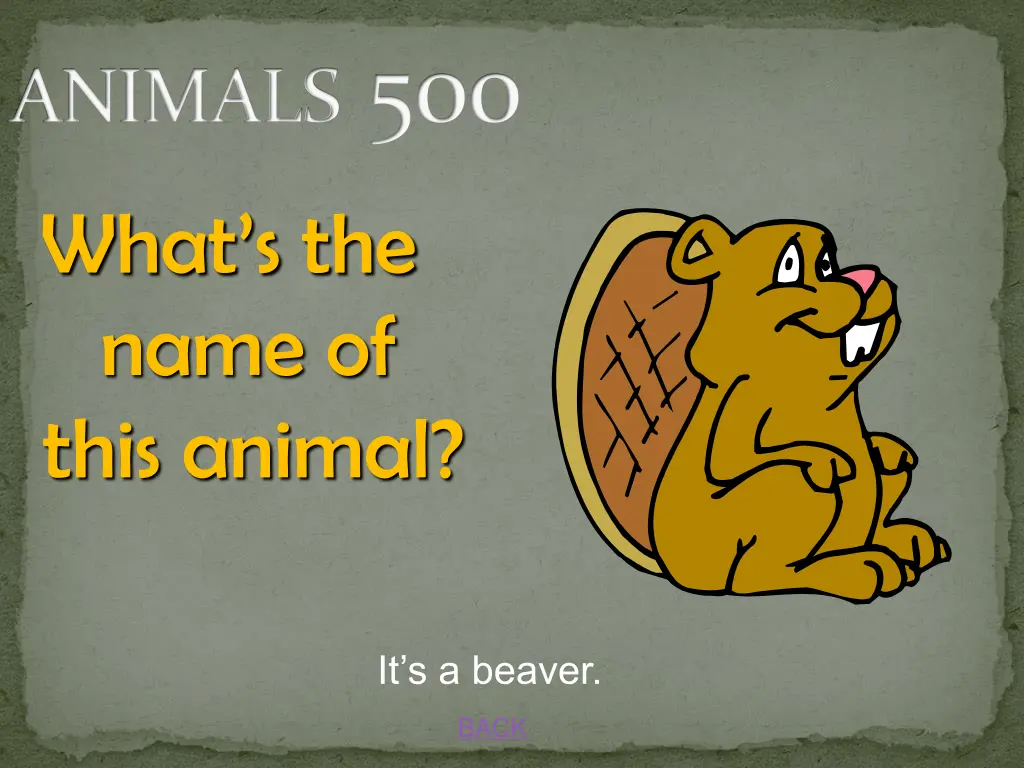 animals 500