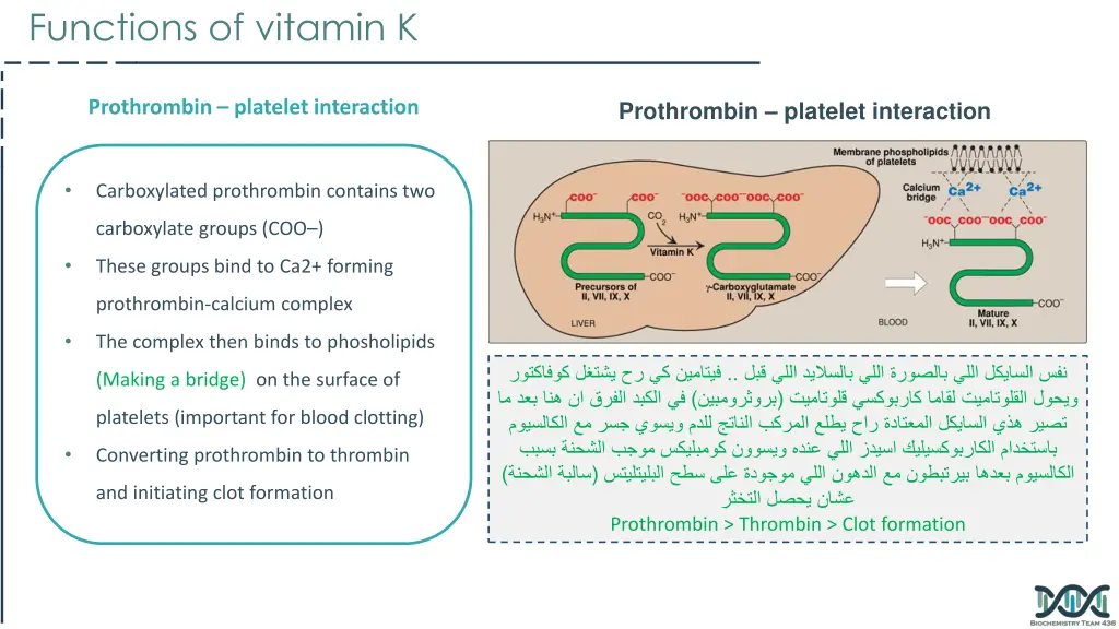 functions of vitamin k 1