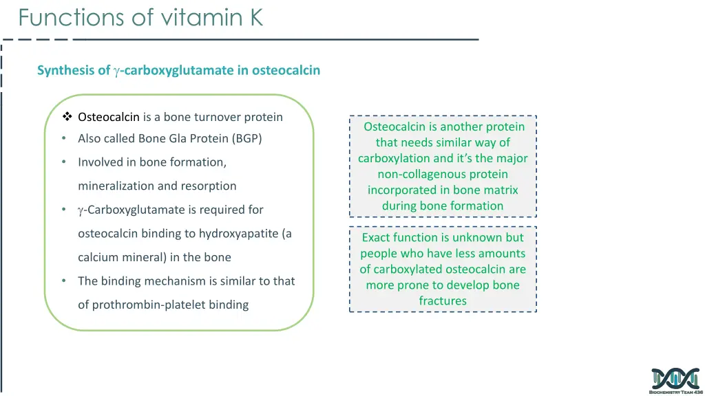 functions of vitamin k 2