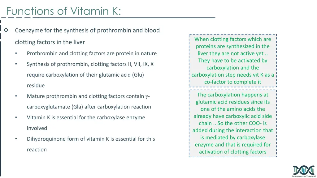 functions of vitamin k