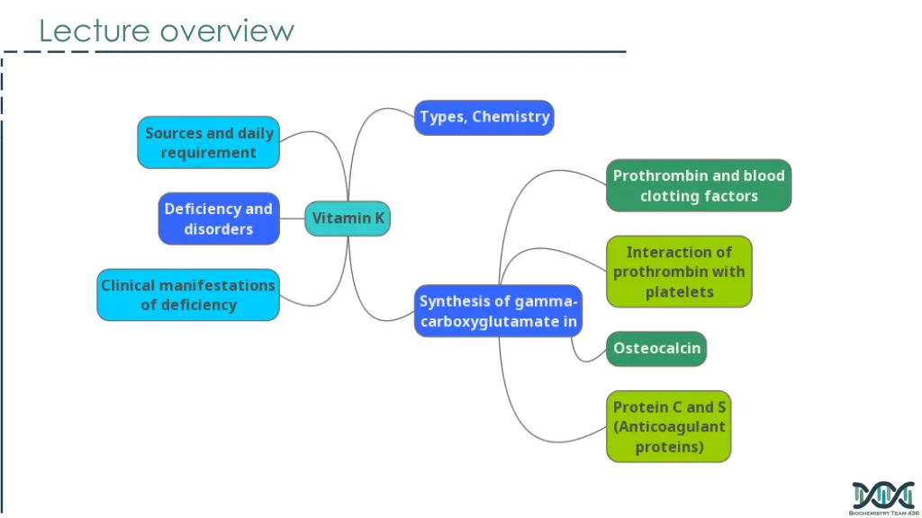 lecture overview