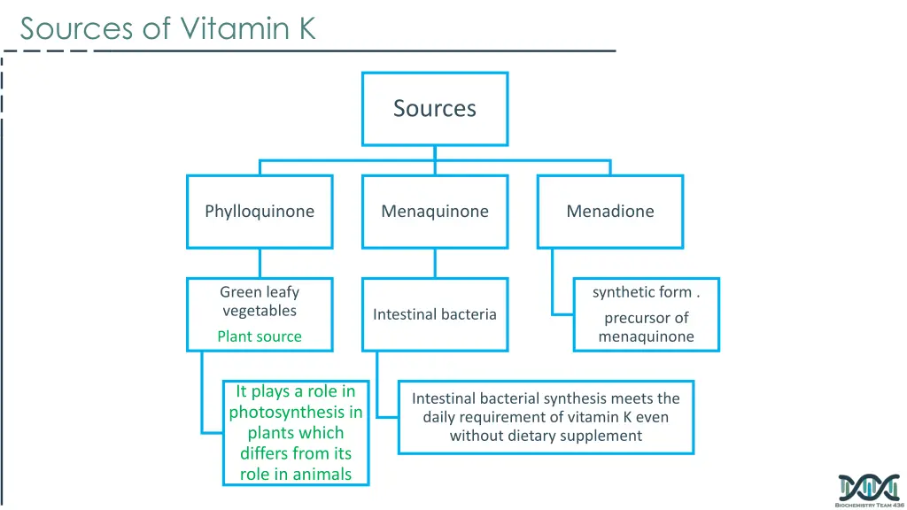 sources of vitamin k