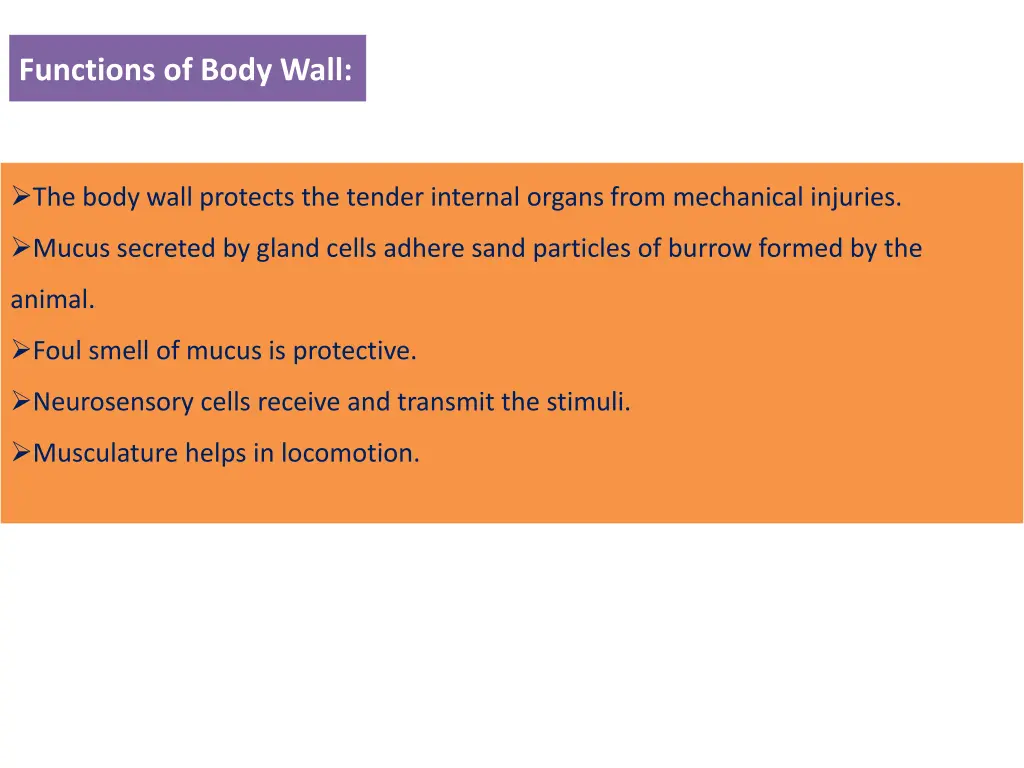 functions of body wall