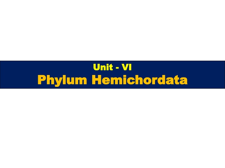 unit unit vi hemichordata