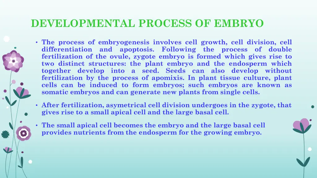 developmental process of embryo