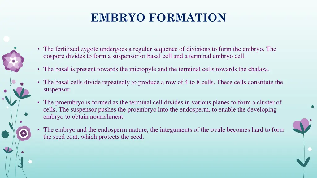 embryo formation